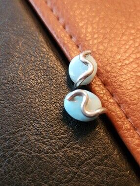 Silver Stud Earrings
